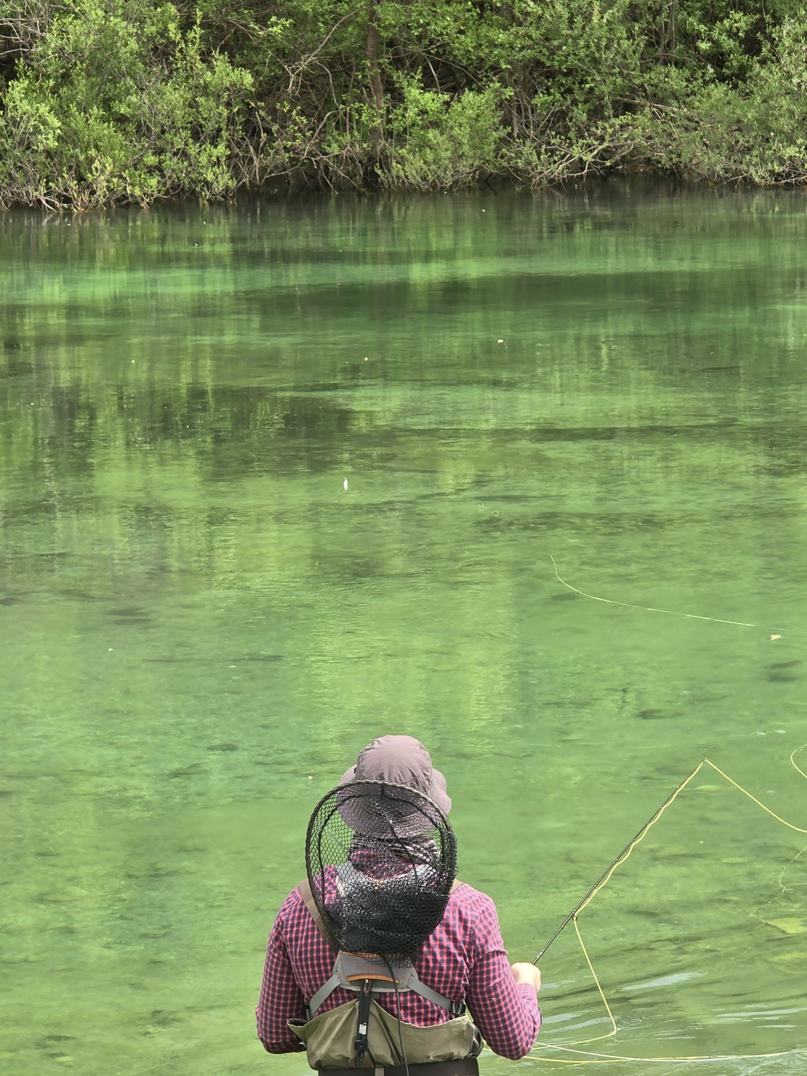 croatia-fly-fishing