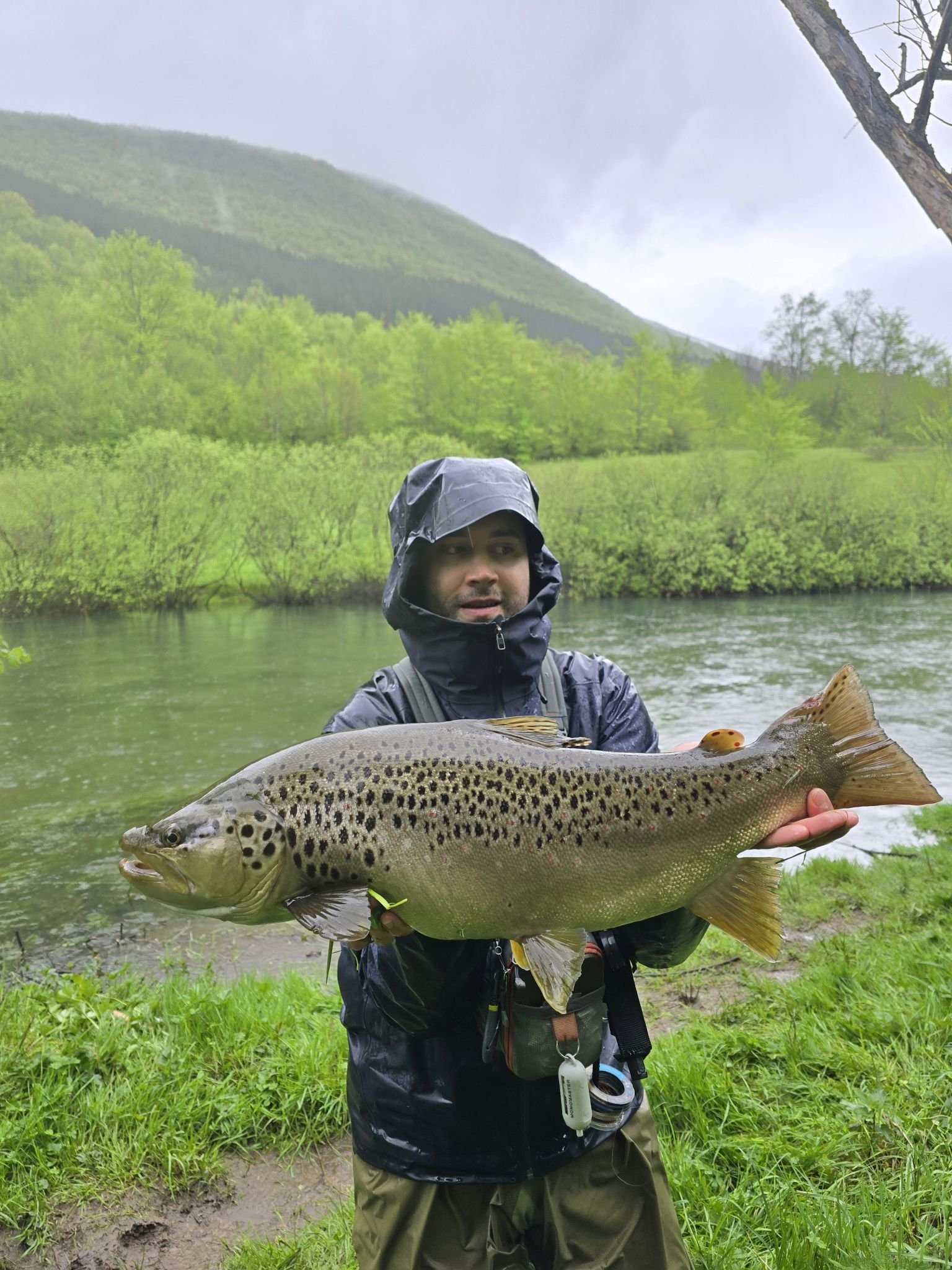 trout-fishing-in-bosnia