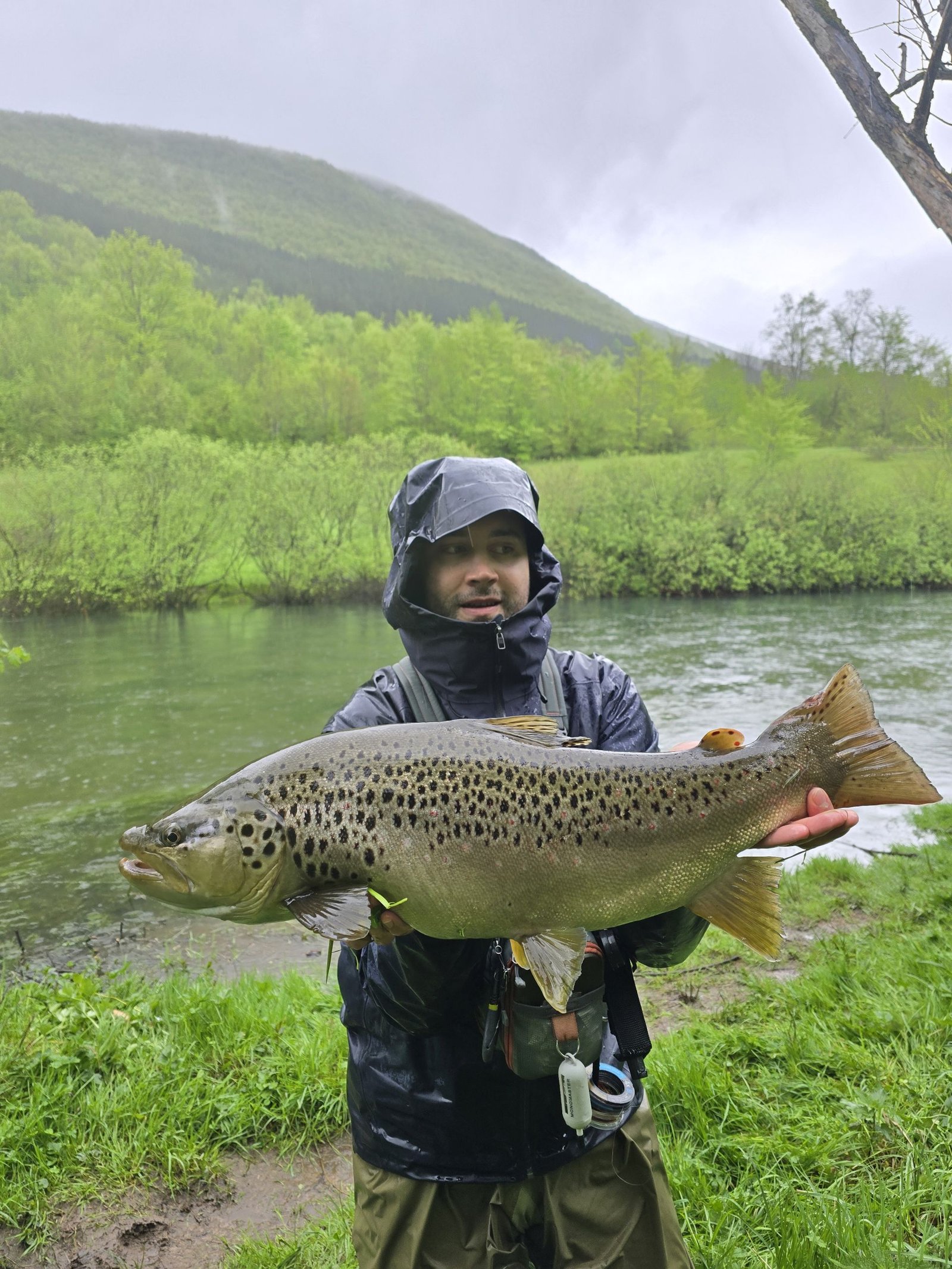 trout-fishing-in-bosnia