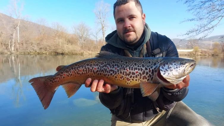 FB_IMG_1648410353132