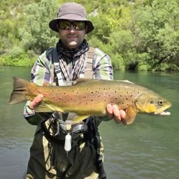 brown-trout-croatia