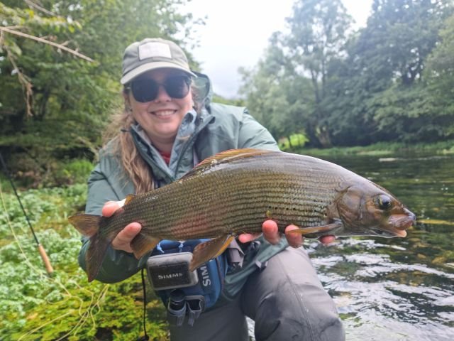 grayling-on-dry-fly
