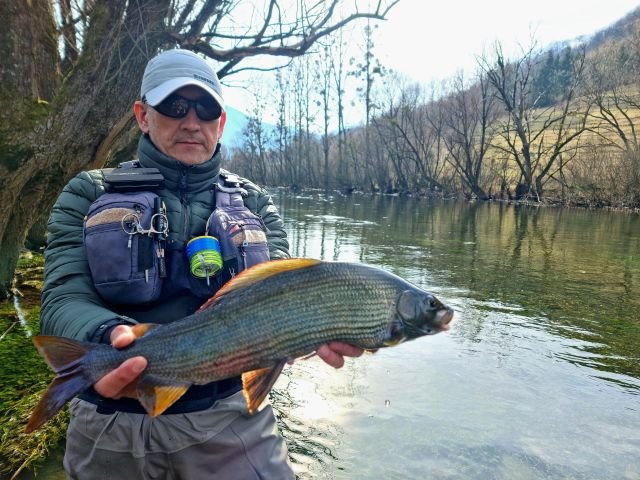 grayling-from-bosnia