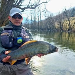 grayling-from-bosnia