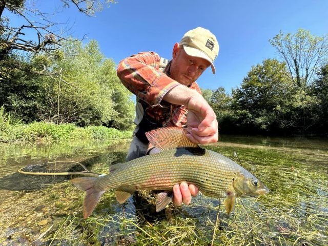 grayling-flyfishing-in-bosnia