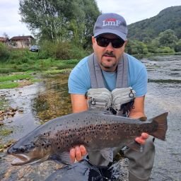 brown-trout-fishing