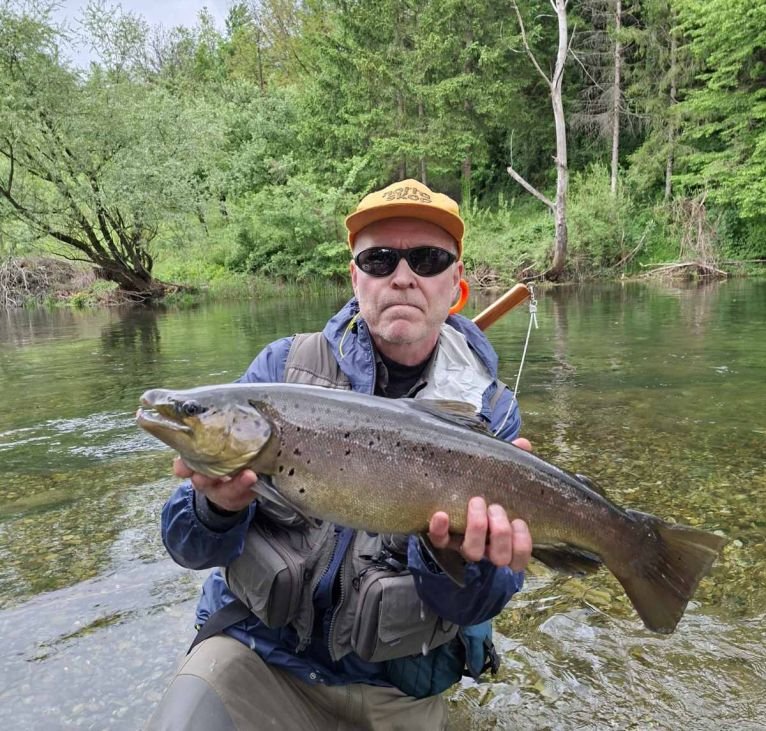 bosnia-brown-trout