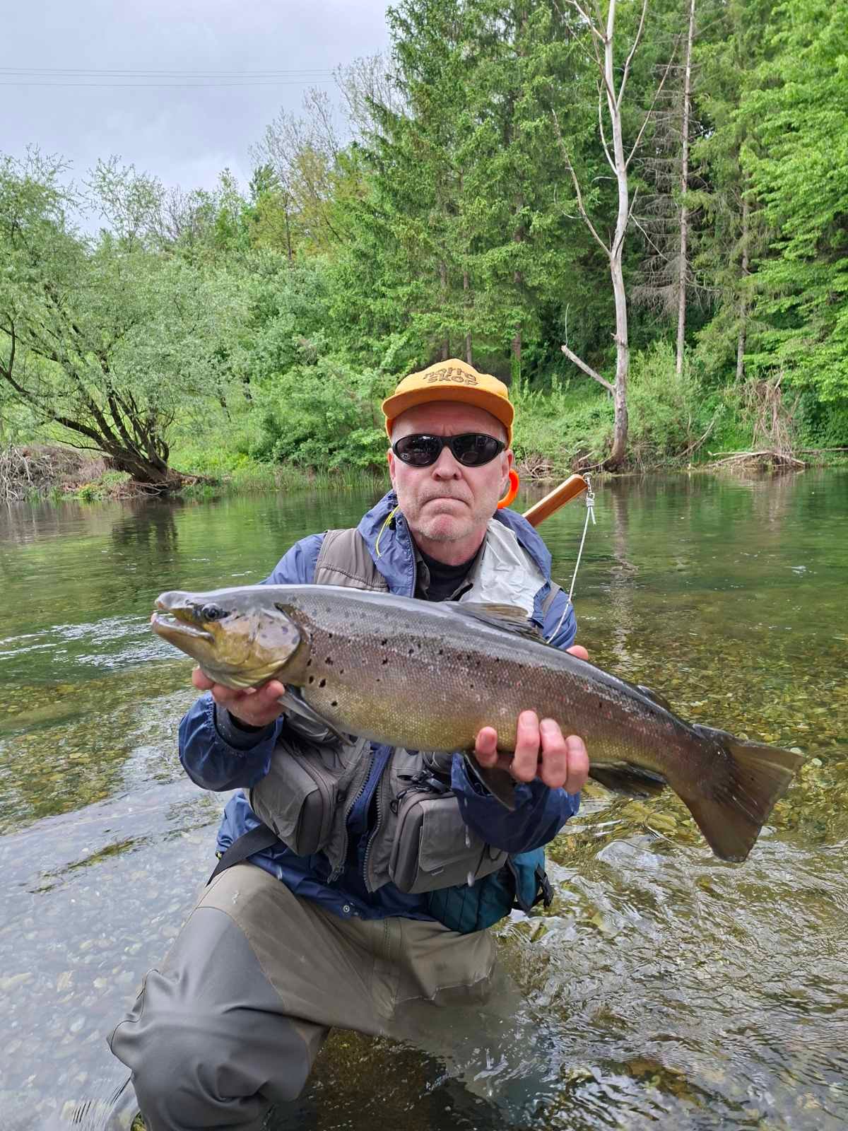 bosnia-brown-trout