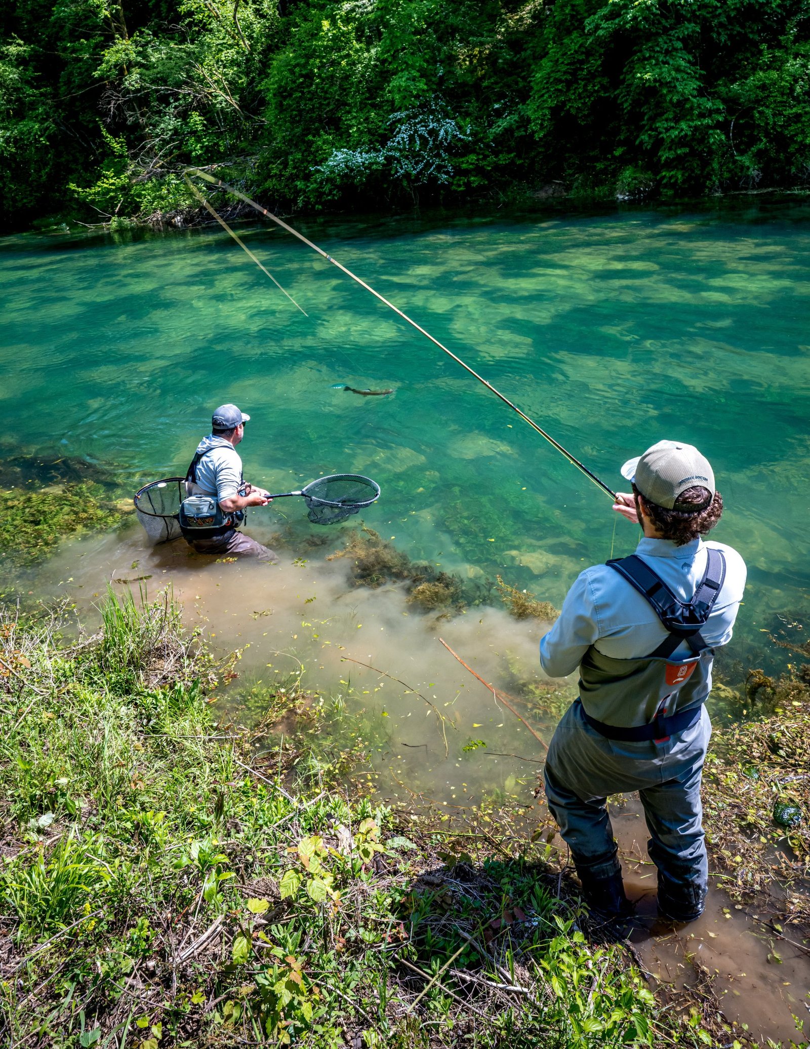 fly-fishing-in-bosnia-trout