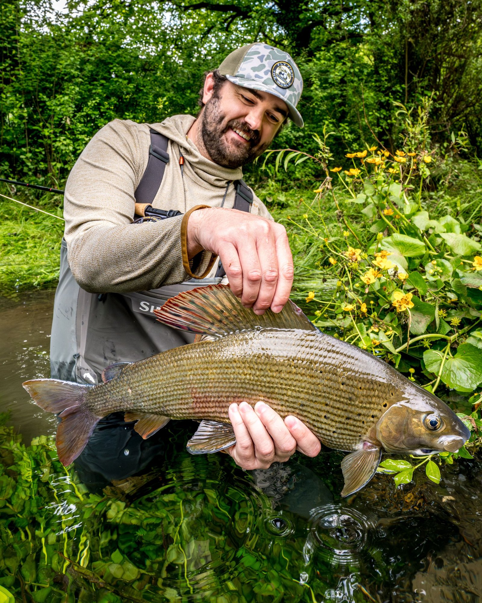 grayling-from-bosnia