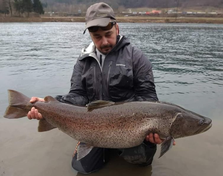 hucho-spin-fishing