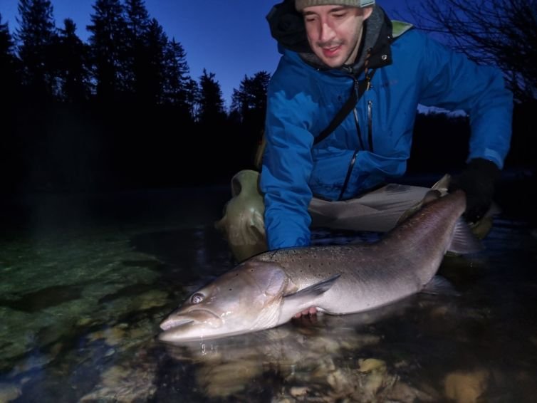hucho-fishing